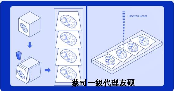 阳江蔡司阳江扫描电镜