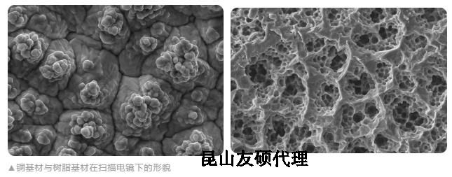 阳江蔡司阳江扫描电镜