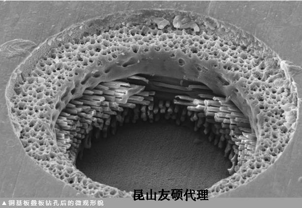 阳江蔡司阳江扫描电镜